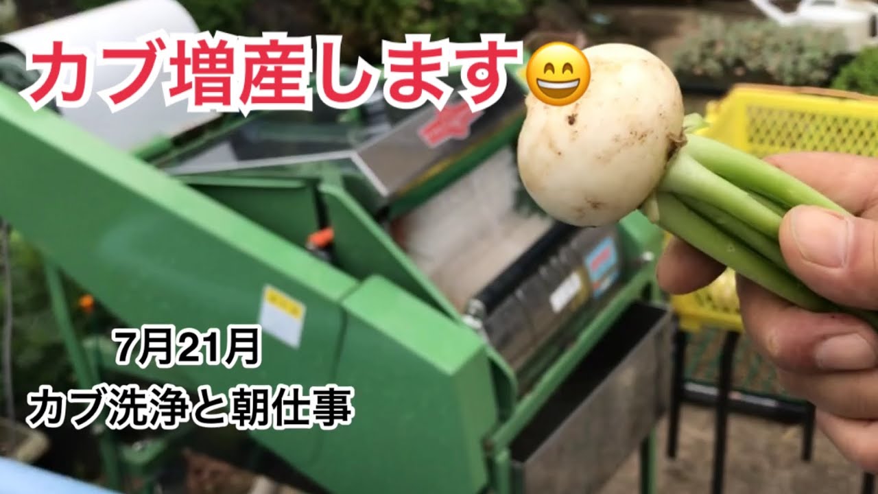 最大53％オフ！ 野菜洗い機 T-27M モーター付 野菜洗浄機 葉付き根野菜 大根 人参 ごぼう 長芋 指浪製作所 