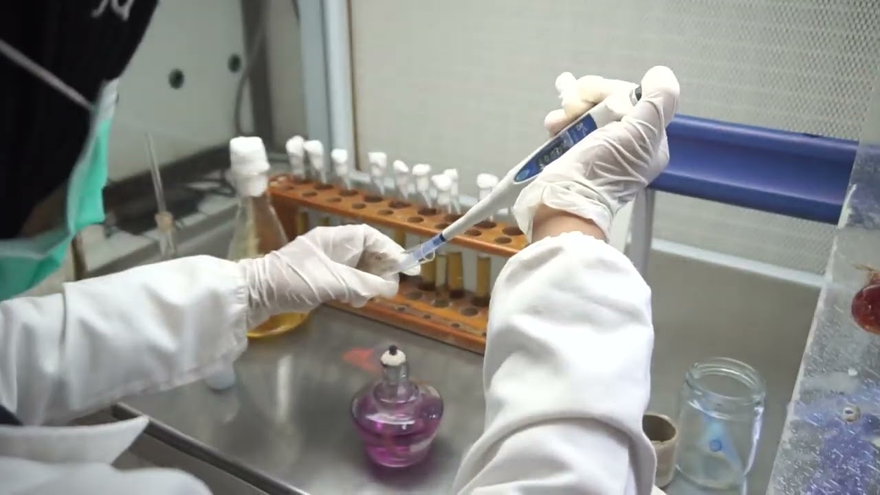 Pengujian Pencemaran Koliform dengan metode MPN