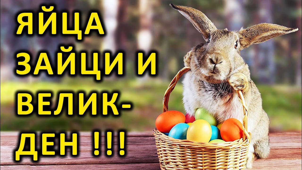 Яйца, зайци и ВЕЛИКДЕН ! - п-р Татеос - 27.4.2021