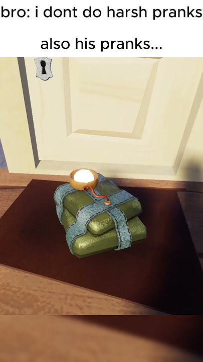 bros pranks be like...