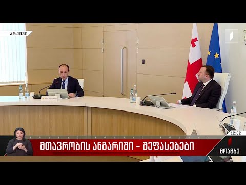 მთავრობის ანგარიში - შეფასებები პოლიტიკურ სპექტრში