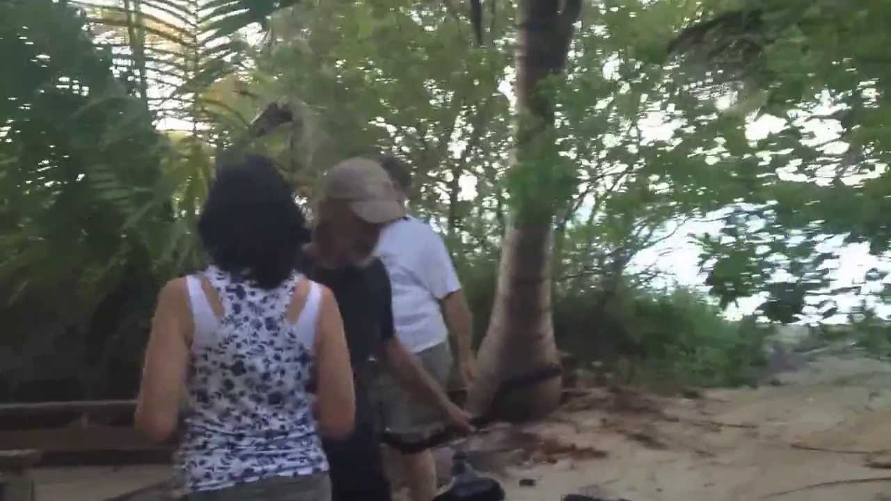 Bike Ride to the Belize Sunset
