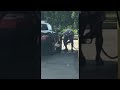 Teksašanin benzinom prao auto
