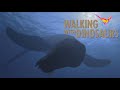 Walking With Dinosaurs 1999 Plesiopleurodon Screen Time