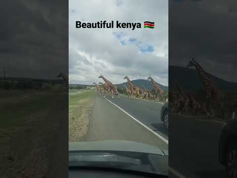 How Beautiful Is This? 😍 Kenya 🇰🇪   #travel #tembeakenya #kenya #africa