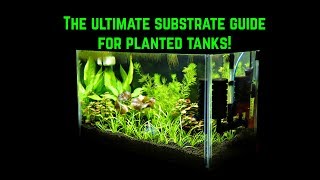 Ultimate Substrate Guide For Planted Tanks