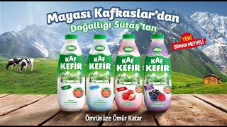 Kaf Kefir - Mayası Kafkaslar’dan, Doğallığı Sütaş’tan Resimi