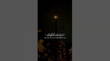 قرآن كريم تلاوة خاشعة من سورة الجاثية القارئ #ياسر_الدوسري #القرآن  #القرآن_ا #راحة_نفسية #القرآن