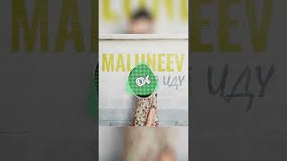 Maluneev - Я Иду | 2024 |