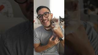Realistic first week with a new puppy VLOG #shorts