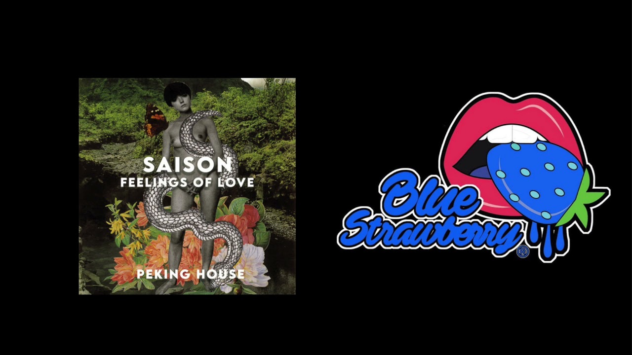 Saison - Feelings Of Love