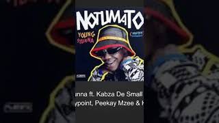 Young Stunna Ft Kabza De Small  Adiwele kamza Heavypoint Peekay Mzee  Kaytah Remix