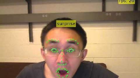 real time facial expression recognition demo