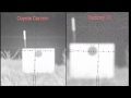 3D NIGHT VISION $299 Package Vs. $475 Coyote Cannon Package