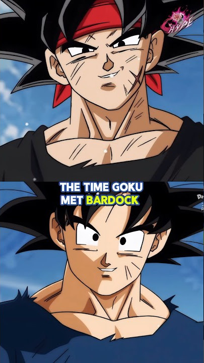What Happened when Goku and Bardock met?!