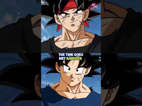 What Happened When Goku And Bardock Met!