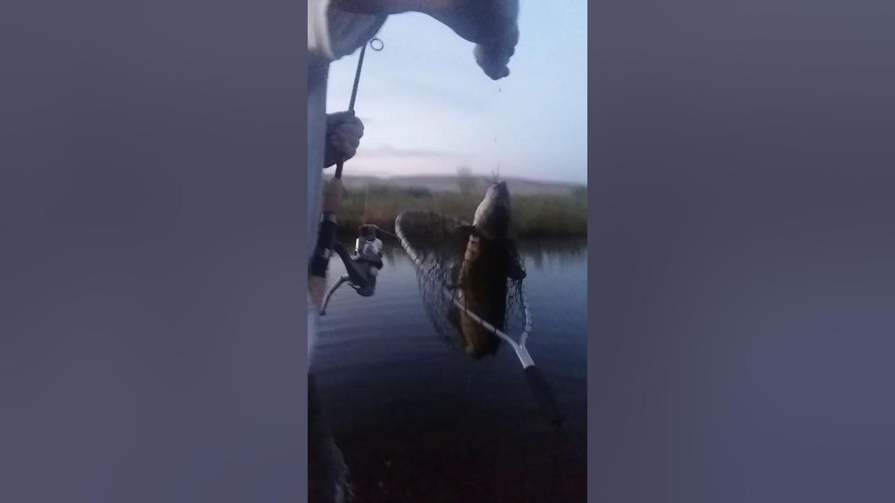 catfish fishing Snake River Richland Oregon Brownlee Reservoir YouTube