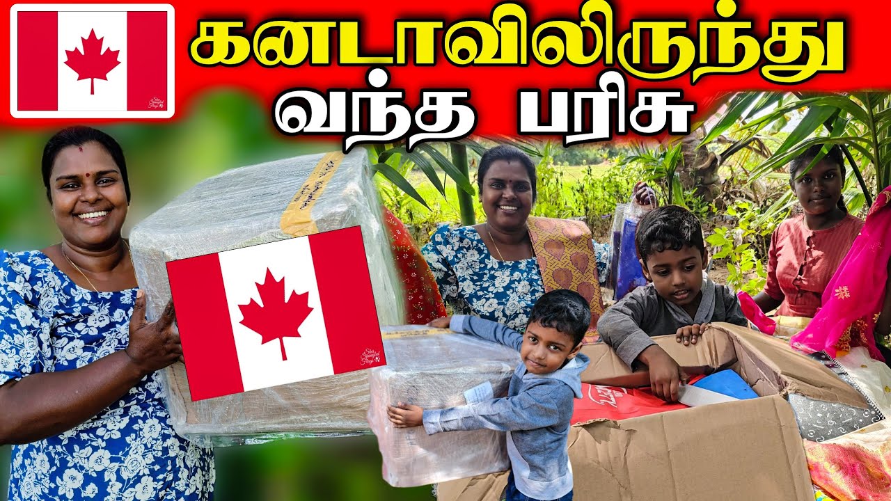 🇨🇦 பிந்தி கிடைத்த பிறந்தநாள் பரிசு | gift from Canada | vanni vlog