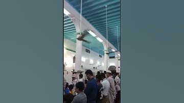 سورة الإخلاص _ محسن أبو غانم _ من مسجد الفلاح