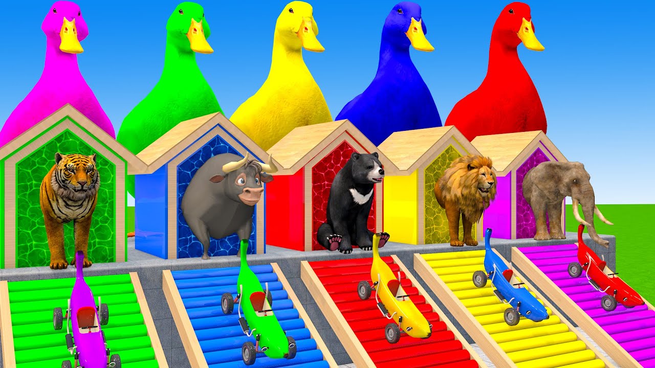 Long Slide Game With Cow Elephant Gorilla Hippopotamus Tiger 3d Animal Game Funny 3d Animals