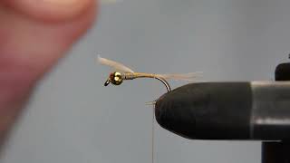 SΓ₯ enkelt binder du Flying Squirrel Nymph