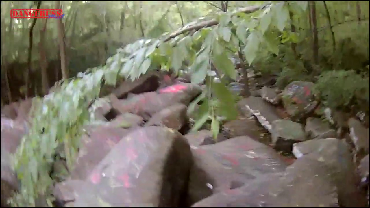 U49W Force1 Blue Heron Drone Potato Patch Review Boulder Footage