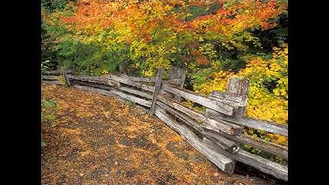 سورة البقرة بصوت القارئ محمد الكنتاوي