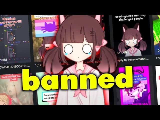 meowbahh's discord server be like - BiliBili