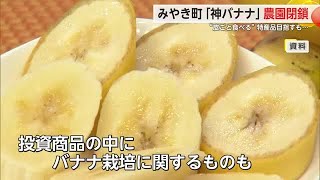 Miyaki Town's 