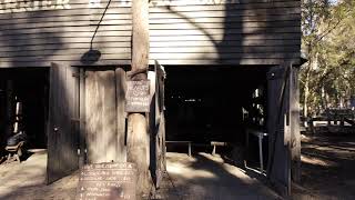 Timbertown Walkthrough, Wauchope