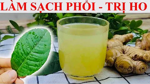 LÀM SẠCH PHỔI, TRỊ HO KHAN, HO ĐỜM, HO RA MÁU   LÀM SẠCH GAN NHIỄM MỠ, CÂN BẰNG ĐƯỜNG HUYẾT