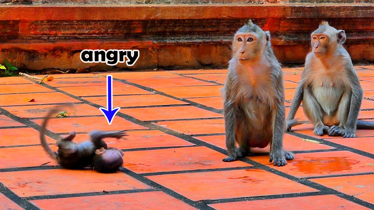 The little baby was an-gry with his mother, Alika, who pushed him away while she was hugging him.