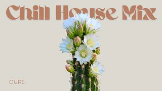 Chill House for Focus and Steady Flow | Soft Minimal Grooves screenshot 4