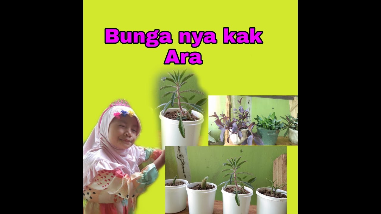 Menanam Bunga Part II 