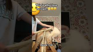 I Love That.. Like The Video If You Like That Wooden Horse