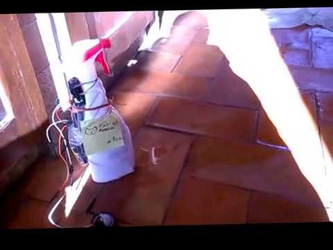  Cat  repeller arduino Prototype1 YouTube