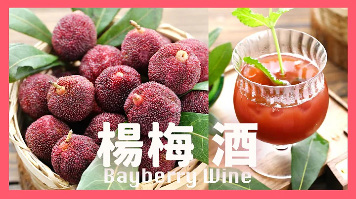 Homemade Chinese Bayberry Wine Natural Brewing @beanpandacook - 天天要闻