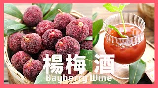 釀酒不是只有泡酒一種方式⁉️天然發酵你一定要試❗️一口驚艷果味濃 Home Brew Chinese Bayberry Wine @beanpandacook