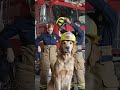 #firefighter #automobile #fire #erlc
