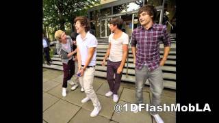 1D Flash Mob LA Mix