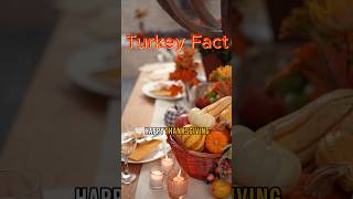 Debunking Turkey Myth in thanks giving
