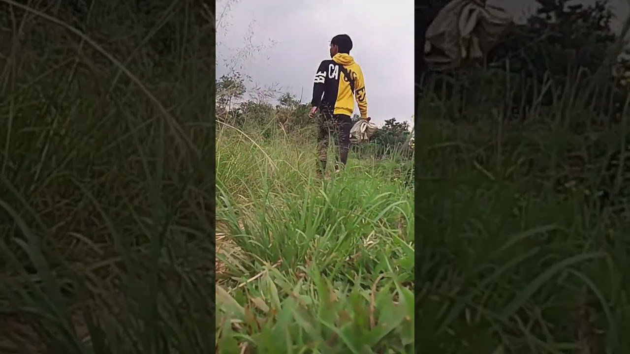 INTRO #shorts #intro - YouTube