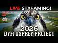 DYFI OSPREY PROJECT 2026 Live Streaming In 4K DYFI OSPREY PROJECT 2026 Live Streaming In 4K