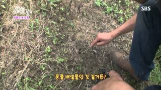 순간 포착 세상에 이런 일이 130718 #16(1)
