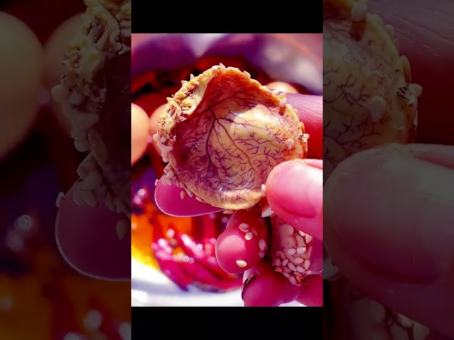 46 #Eggs made like this are so delicious #It’s so fragrant and so delicious #It tastes so good Do yo