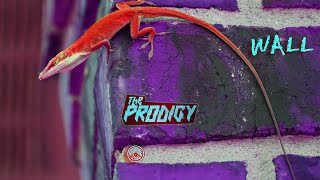 THE PRODIGY - WALL