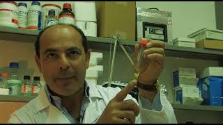 Playing God - Noah Project Genetic Conservation Of Endangered Animals