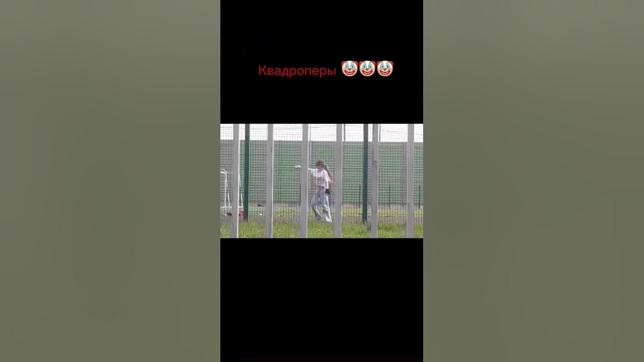#квадробика🤡🤡#квадроберы🤡🤡🤡#встретили🤡🤡🤡🤡 - YouTube