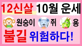 12신살로 풀어보는 10월 운세 (음9월) 원숭이띠, 쥐띠, 용띠 불길! 위험하다! 에 대한 강의입니다~  …