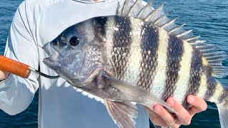 Sheepshead Fishing in Savannah GA